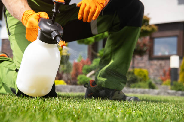 Best Cockroach Control Services  in Andover, MN
