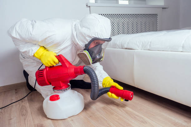 Best Termite Control Services  in Andover, MN