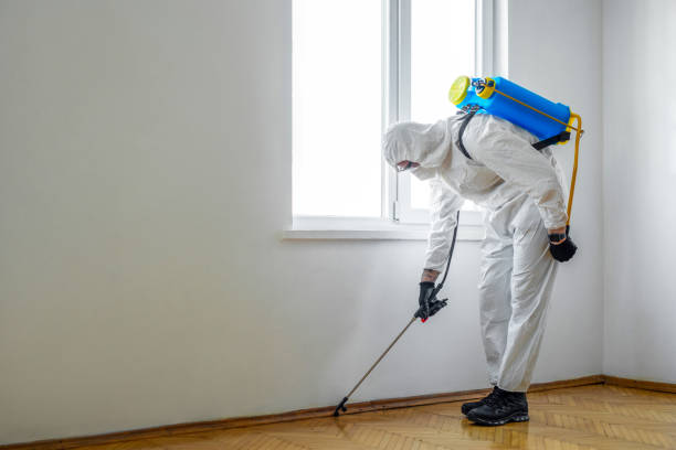 Trusted Andover, MN Pest Control Experts