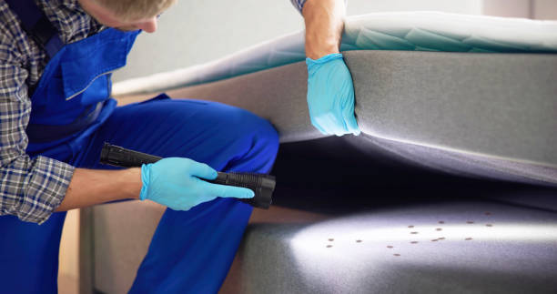 Best Affordable Pest Control Services  in Andover, MN