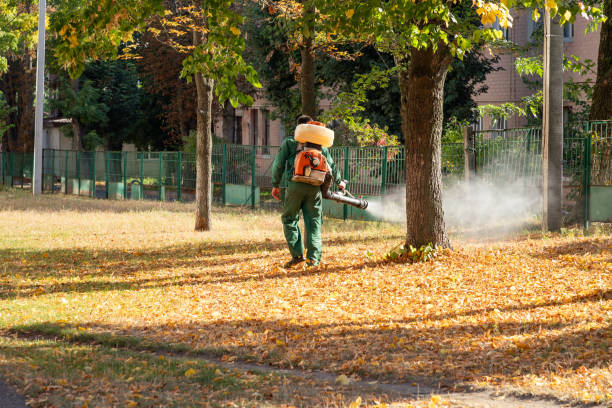 Best Flea Control Services  in Andover, MN