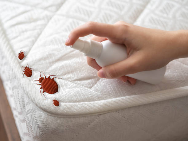 Best Bed Bug Extermination  in Andover, MN